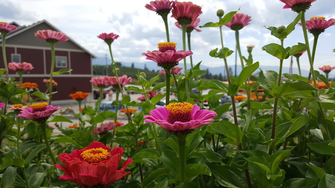 Hillcrest Farm Market B&B Kelowna Exterior foto